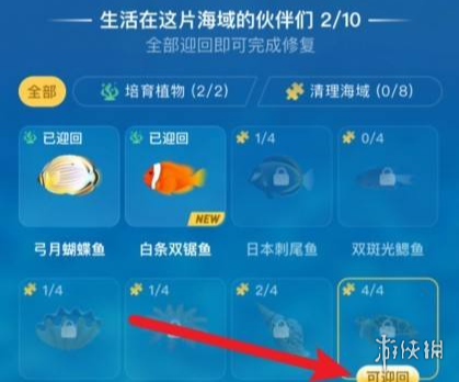神奇海洋怎么快速升級(jí) 神奇海洋快速升級(jí)攻略方法分享