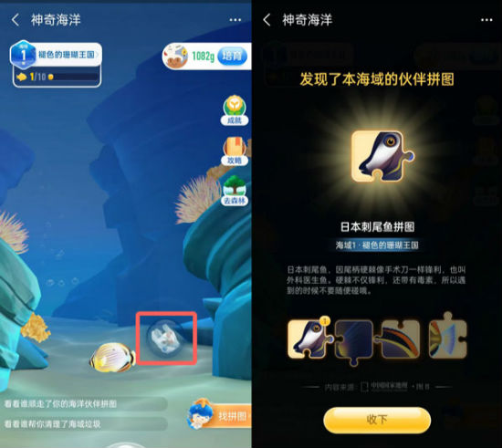 螞蟻海洋怎么獲得拼圖 神奇海洋拼圖在哪怎么領(lǐng)取攻略