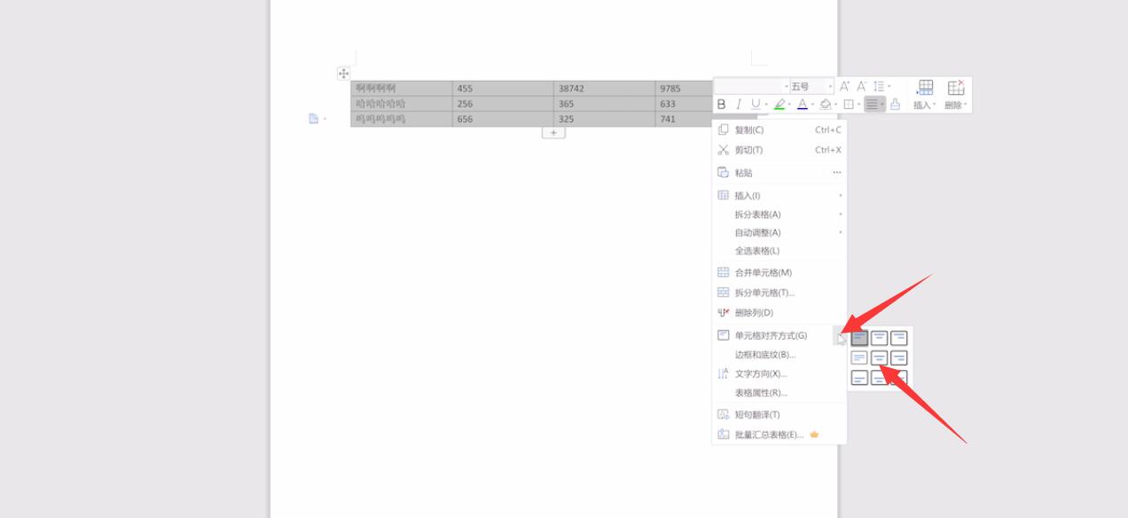 wps文字上下居中怎么弄？