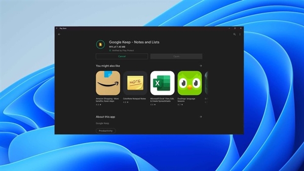 Win11安裝Google Play商店的詳細教程