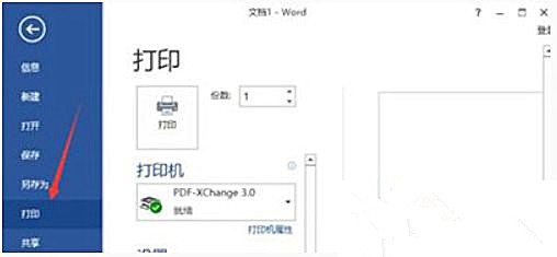 Win10 20H2系統使用Word文檔打印不出圖片怎么回事?
