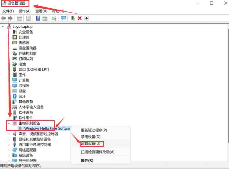 Win11臉部識別登入如何更新？Win11臉部識別更新步驟