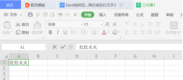 WPS在Excel的一個單元格內(nèi)輸入兩行或多行文字操作方法