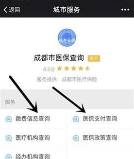 不用關注，微信直接查詢社保（醫(yī)保）余額/繳費
