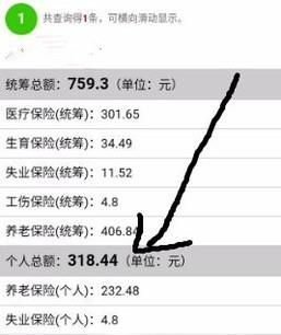 不用關注，微信直接查詢社保（醫(yī)保）余額/繳費