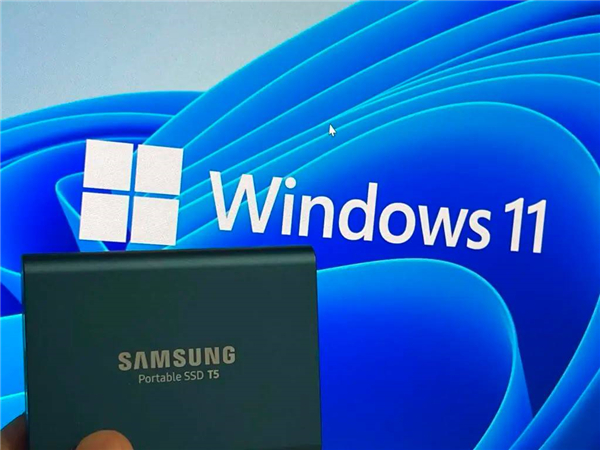 怎么在Windows11中備份文件并降級回Windows10？