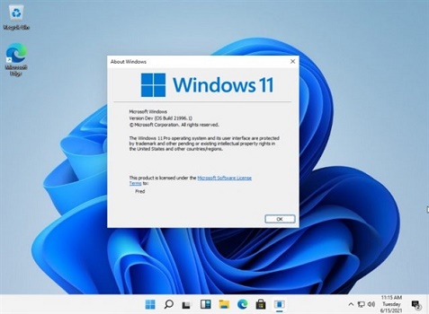 Win11重置失敗怎么辦？Win11重置失敗解決方法