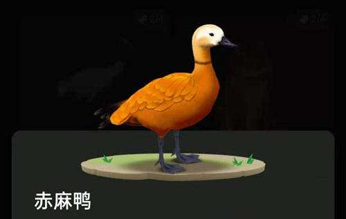 螞蟻森林里的小動物怎么獲得?螞蟻森林里的小動物有哪些?