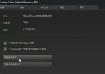 Win10玩csgo如何優(yōu)化參數(shù)設(shè)置？