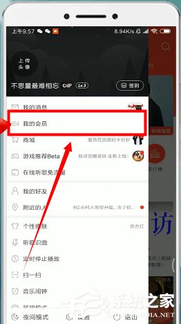 網(wǎng)易云音樂如何取消自動續(xù)費？網(wǎng)易云音樂取消自動續(xù)費的方法