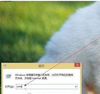 Win8系統如何進入dos界面?