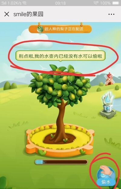 拼多多果園為什么不能偷朋友的水？多多果園種樹
