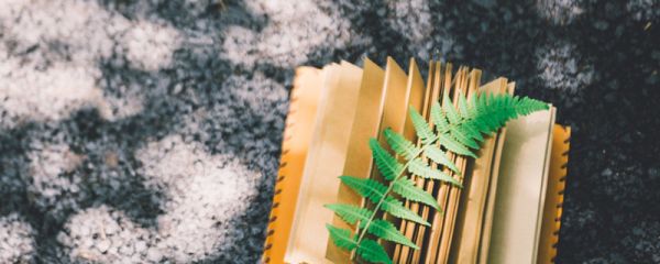 一句簡短的風(fēng)景句子 一句簡短的風(fēng)景句子發(fā)朋友圈
