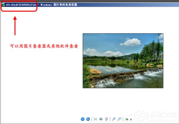 WinXP縮略圖不顯示文件名怎么辦？