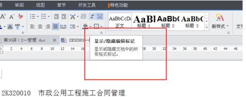 WPS如何設(shè)置段落標(biāo)記?設(shè)置段落標(biāo)記的方法介紹