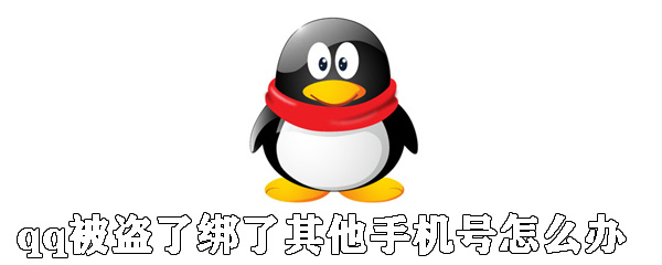 qq被盜了綁了其他手機(jī)號(hào)怎么辦？qq號(hào)被盜找回方法解析