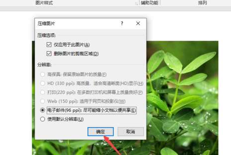 PPT壓縮插入圖片怎么操作？壓縮插入圖片方法說(shuō)明