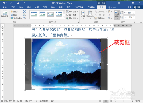 word縱橫比剪裁圖片設(shè)定方法分享