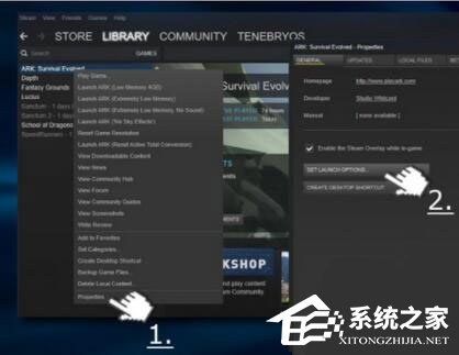 Win10玩生存進(jìn)化報(bào)錯(cuò)“視頻驅(qū)動(dòng)程序崩潰并被重置”怎么解決？