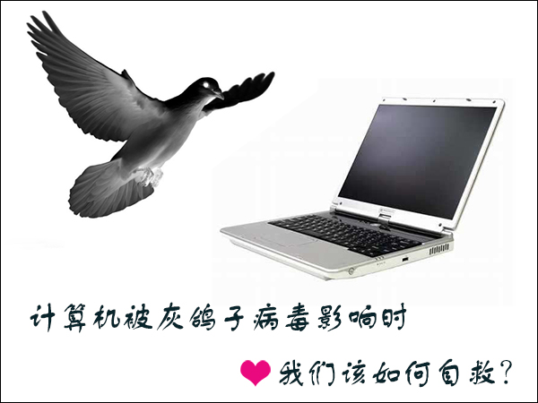 Win7環(huán)境下怎么清理灰鴿子病毒？灰鴿子病毒有哪些危害