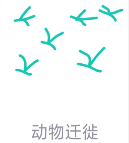 qq畫圖紅包動物遷徙怎么畫？QQ畫圖紅包動物遷徙畫法分享