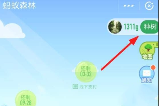 在支付寶里怎么認領螞蟻森林保護地?認領螞蟻森林保護地的方法介紹