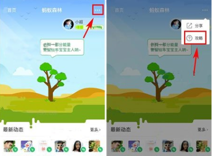 在支付寶里怎么將行走捐打開?將行走捐打開的步驟一覽