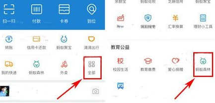 在支付寶里怎么將行走捐打開?將行走捐打開的步驟一覽