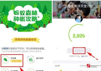 在支付寶里怎么將行走捐打開?將行走捐打開的步驟一覽