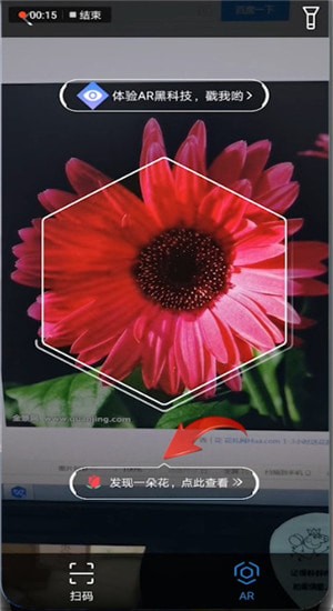 怎樣通過支付寶AR掃一掃識別花草?AR掃一掃識別花草的步驟分享
