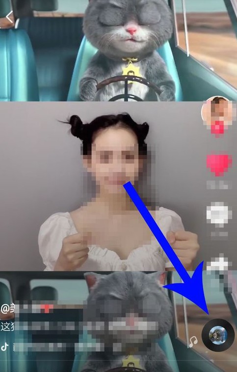 抖音中與斑布貓怎么合拍?合拍的具體步驟分享