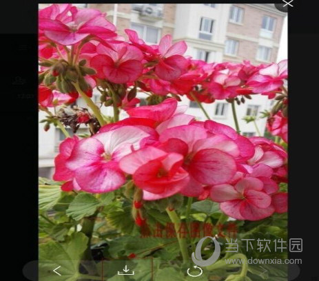 微信網(wǎng)頁(yè)版如何把手機(jī)圖片傳輸?shù)诫娔X上 傳照片到電腦方法介紹