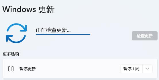 win11網(wǎng)卡驅(qū)動更新教程