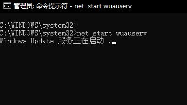 win101903更新錯誤0x800f081f解決方法