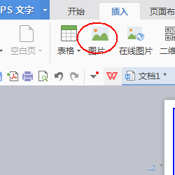 使用wps設(shè)計出一款簡約派簡歷具體操作步驟