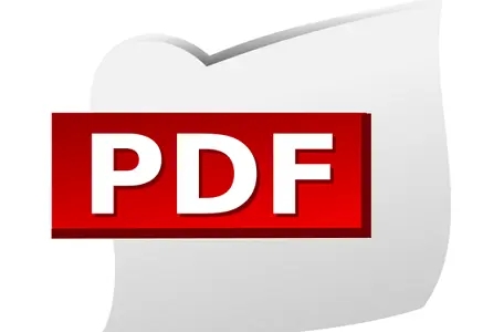 win11打開pdf文件出現bug的解決方法