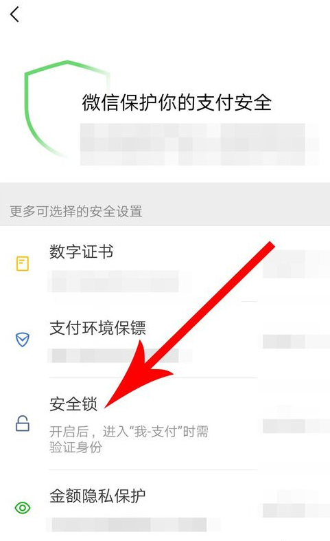微信中設置支付安全鎖具體操作步驟
