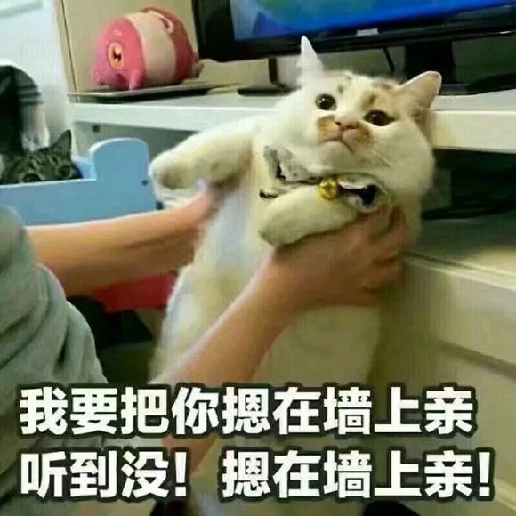 抖音我要把你摁在墻上親表情包是什么？抖音我要把你摁在墻上親表情包介紹！