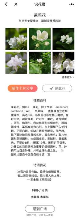 微信app小程序中的識花君怎么用？微信app小程序中的識花君用法介紹！
