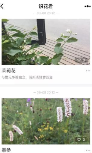 微信app小程序中的識花君怎么用？微信app小程序中的識花君用法介紹！