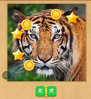 微信小程序中猜猜圖小游戲正確答案是什么？微信小程序中猜猜圖小游戲正確答案一覽！