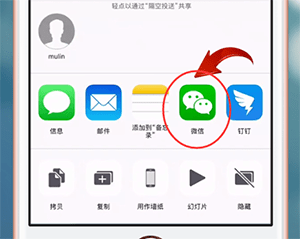 蘋果手機中發(fā)送Live Photos照片給微信好友具體操作步驟