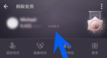 支付寶怎么查看螞蟻會員等級_螞蟻會員具體操作步驟