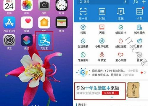 支付寶我的十年生活賬本如何查看？我的十年生活賬本查看方法介紹！