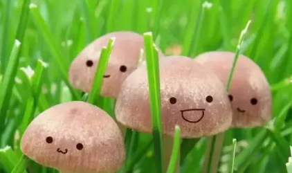 微信微粒貸怎么開通？小編教你玩轉(zhuǎn)微粒貸！