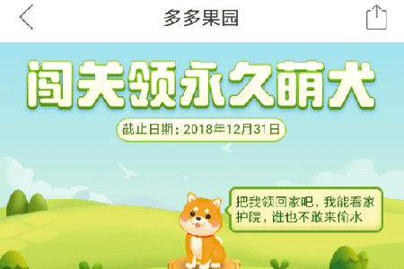 拼多多果園怎么養(yǎng)狗?果園養(yǎng)狗方法技巧圖文步驟講解
