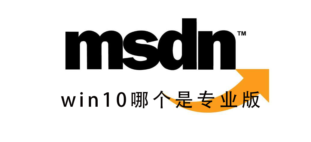 msdn我告訴你win10哪個(gè)是專業(yè)版