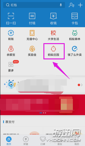 螞蟻莊園怎么揍偷吃的小雞？支付寶螞蟻莊園胖揍功能詳解