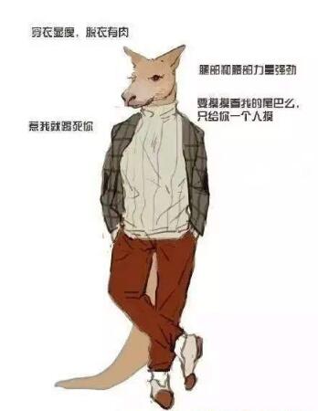 抖音動物系男友是什么意思?抖音動物系男友有哪些特征?
