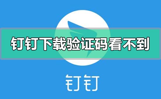 釘釘下載app驗(yàn)證碼看不到刷不出來怎么辦